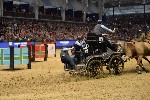 Extreme - 00664